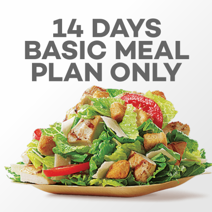 14 Days Basic Meal plan only